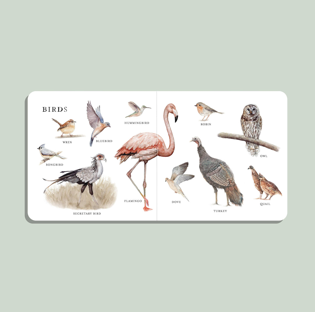 Our Big Book of Animals