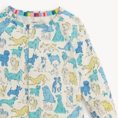 Blue It's A Paw-ty Convertible