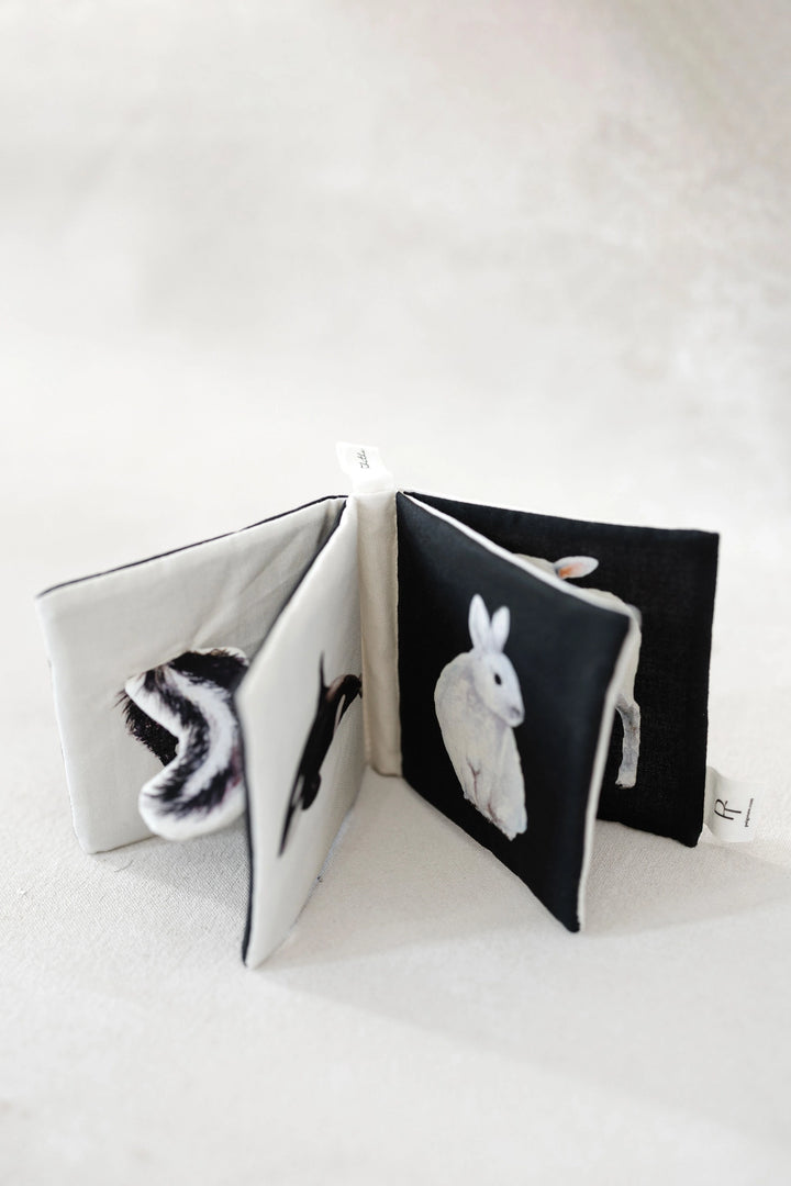 Crinkle Book