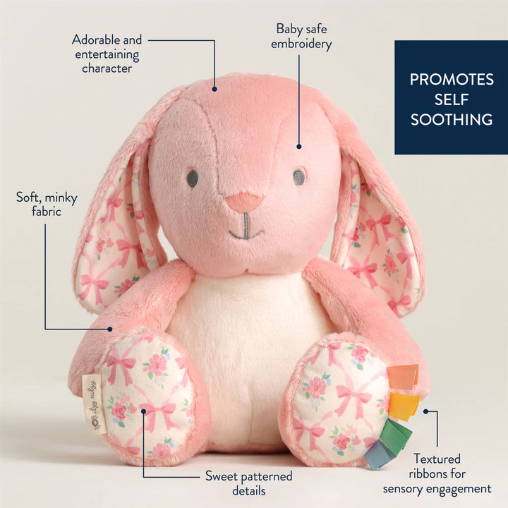 Sweetie Snuggles™ Plush - Bunny
