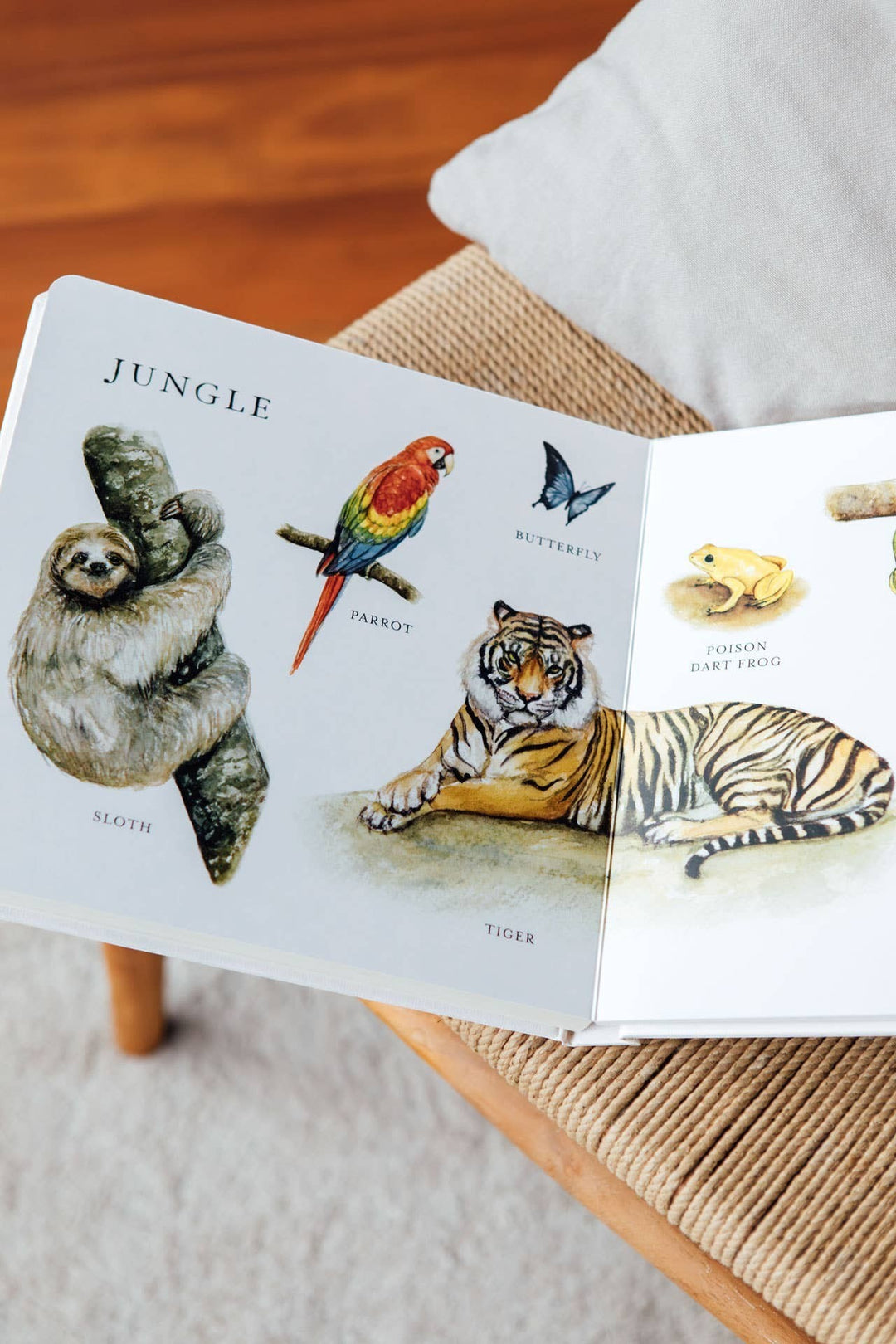 Our Big Book of Animals