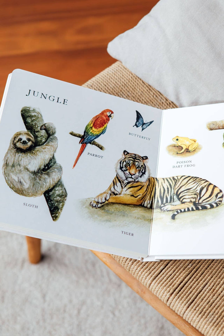 Our Big Book of Animals