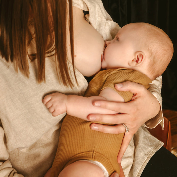 Nipple Shield Set
