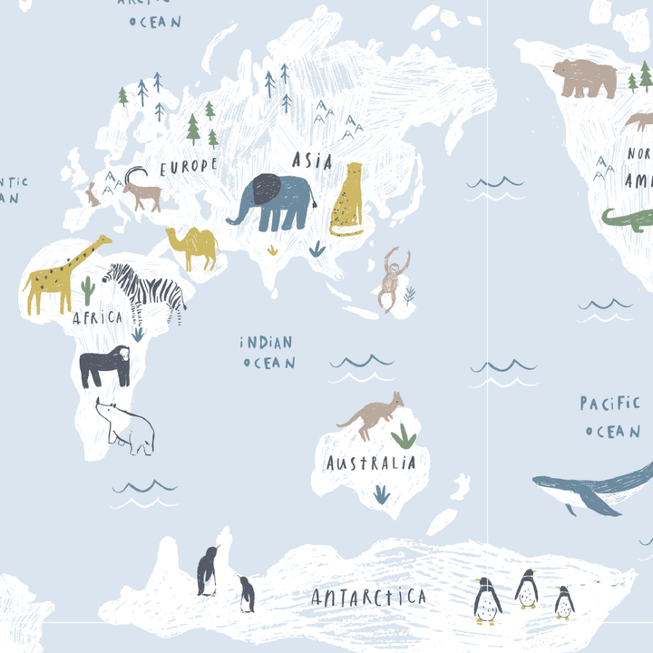 Sea The World Footie