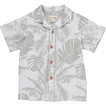 Maui - Dad Grey Palm